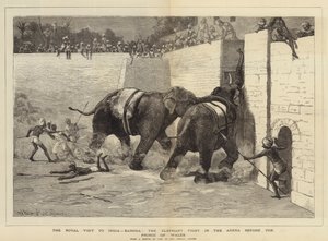 Het koninklijk bezoek aan India, Baroda, het olifantengevecht in de arena voor de Prins van Wales